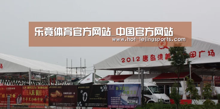 案例标题十(图1)