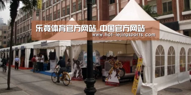 案例标题九