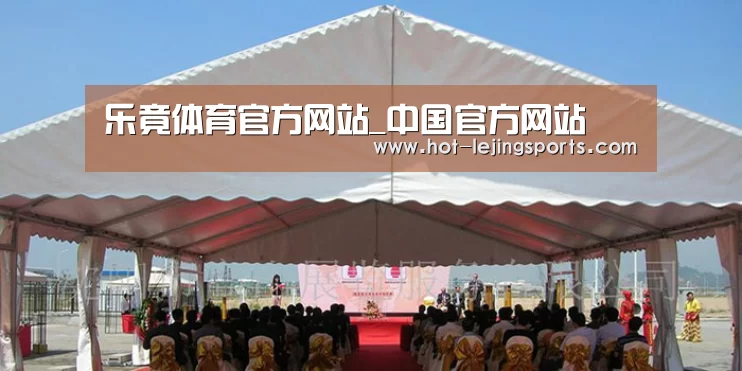 案例标题三