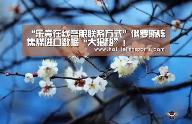 乐竟体育app