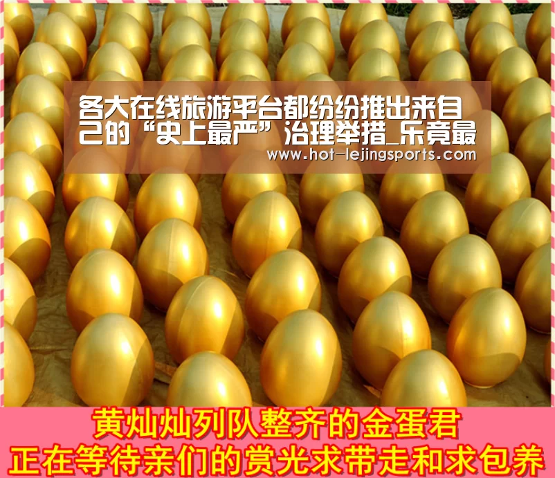 乐竟体育app