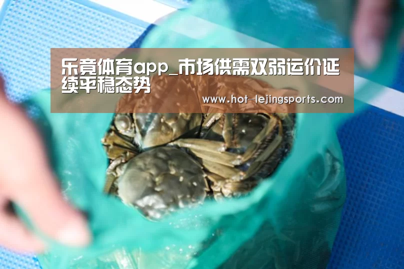 乐竟体育