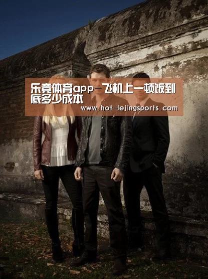乐竟体育app-飞机上一顿饭到底多少成本(图3) 乐竟在线客服联系方式