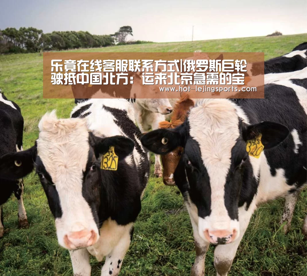 乐竟在线客服联系方式