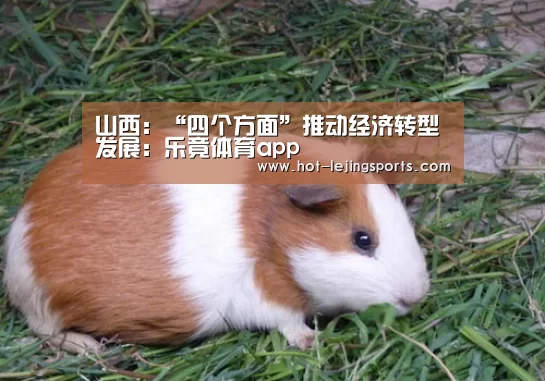 乐竟在线客服联系方式